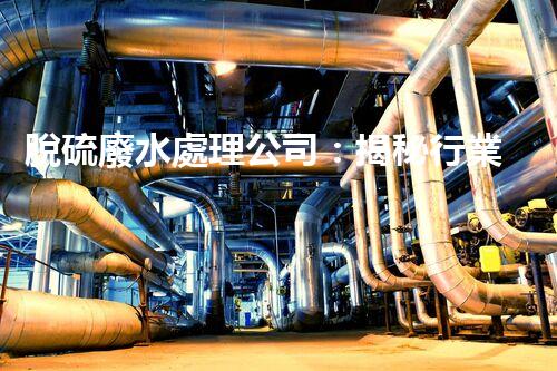 脫硫廢水處理公司：揭秘行業(yè)內(nèi)幕與以后趨勢？